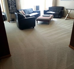 What’s the Best Month to Book Your Carpet Cleaning