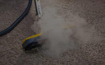 Cleaning Different Carpet Piles