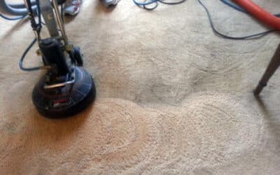 Why Dirty Carpet Signs Will Change Your Life