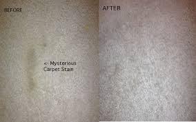 The Difference Between a Spot and a Stain