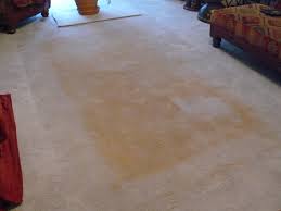 Is Your Carpet Turning Yellow?
