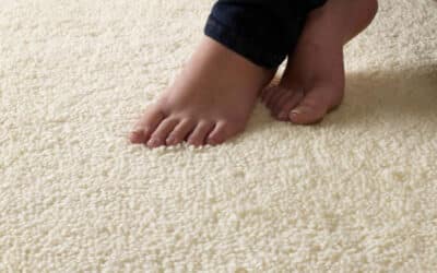 How to Maintain Your Carpet