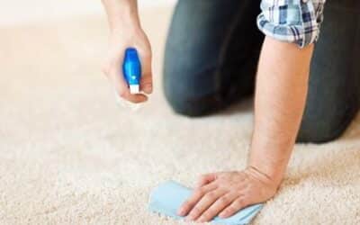 Carpet Care Tips