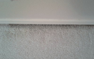 Why do my carpets have gray line along the edges?